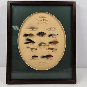 Alpha Taupo Trout Flies Framed Shadow Box 12 Fishing Lures New Zealand Wall Art